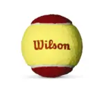 WILSON Starter Red ลูกเทนนิส (12 ลูก)
